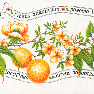 1358-1fr2.jpg