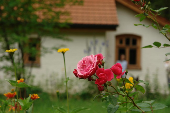 DSC05122.JPG