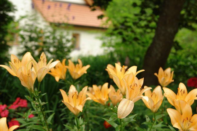 DSC05139.JPG