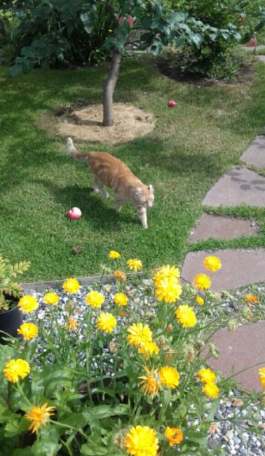 20180820_160520-1.jpg
