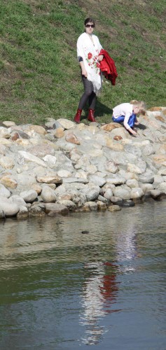 IMG_3731_1.jpg
