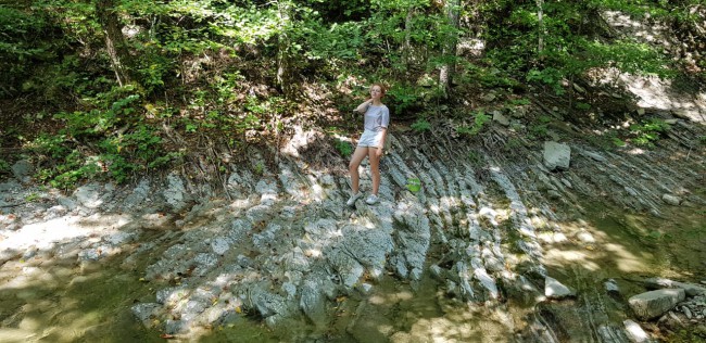 IMG-20180808-WA0010.jpg