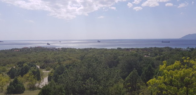 IMG-20180807-WA0005.jpg