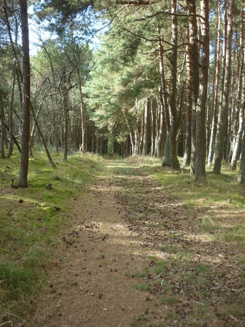P1270541+.jpg