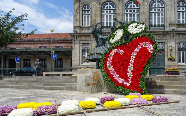 Festival de Flores, Viana do Castelo (1).jpg