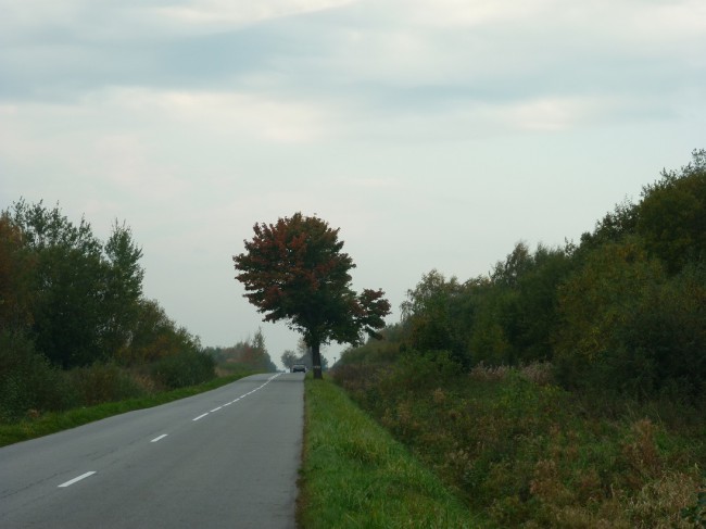 P1270674+.jpg