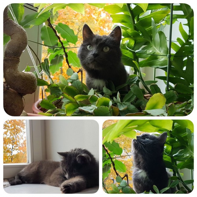20181008_203317.I8RW8.jpg