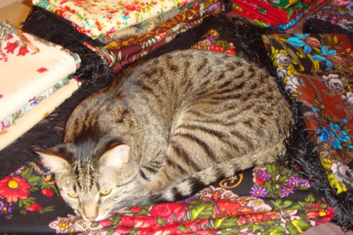 DSC09576.JPG
