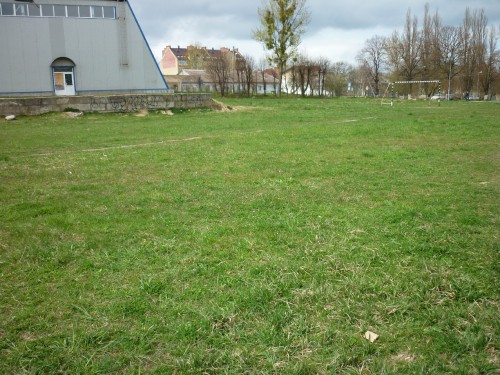 P1020114(5).JPG