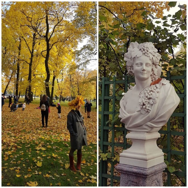 20181013_184022.j5tGr.jpg
