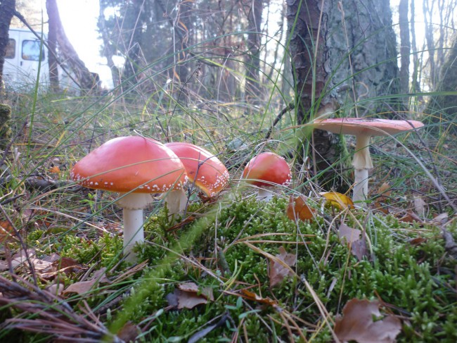 P1270766+.jpg