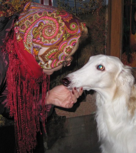Василиса 1370-5, Елена Фаворитова