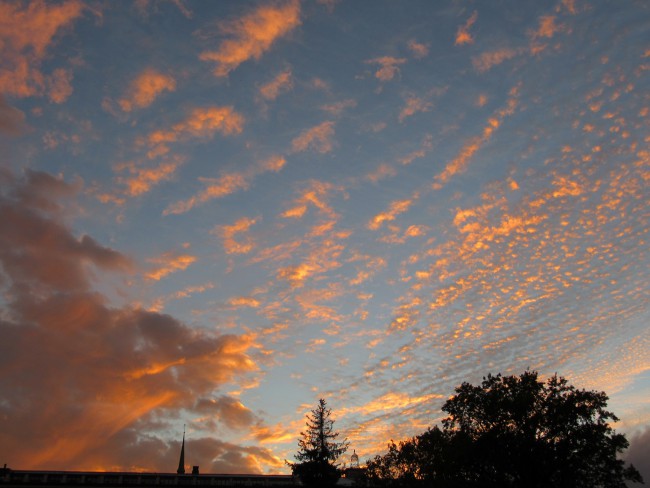 IMG_6106_1.jpg