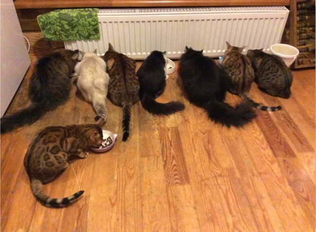 Не все. Частично.