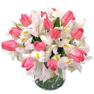 Tulip-Iris-PW.jpg