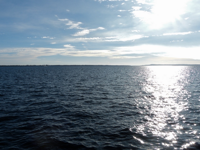 P1160570_hf.jpg