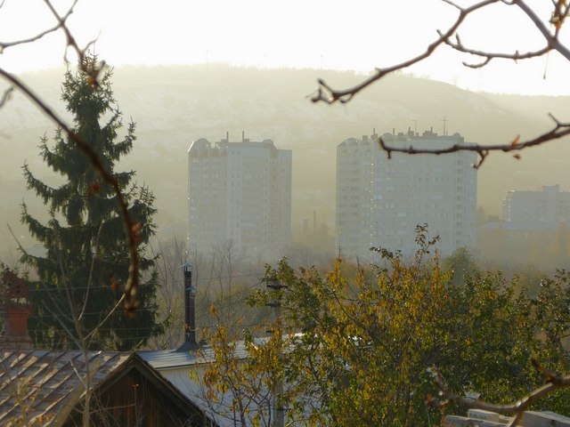 P1160720_hf.jpg