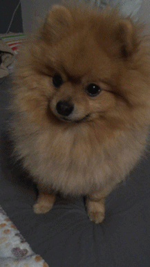 A8AD135C-16DC-4BC7-8261-95D469962929.gif