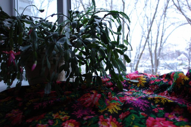 DSC05885.JPG