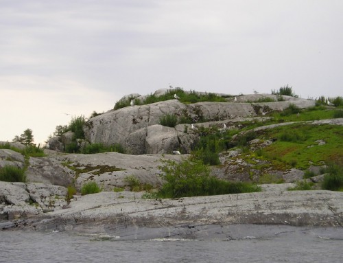 P1010237.jpg