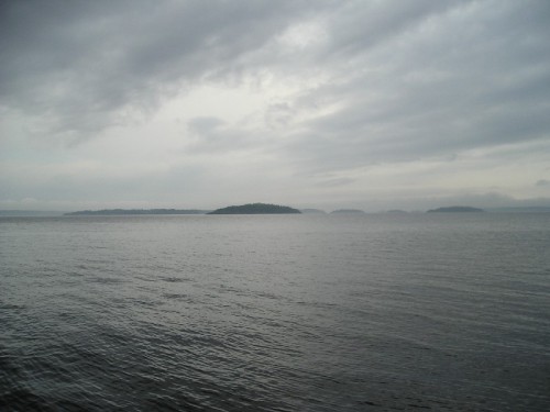 P1010261.jpg