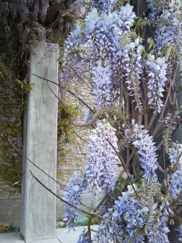 2011-04-08 18.04.56s.jpg