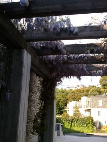 2011-04-08 18.07.08s.jpg