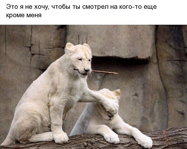 image (173).jpg