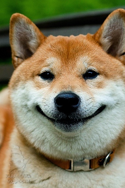 48IHw7Qq9vU.jpg