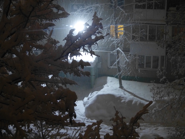 P1170765-1.JPG