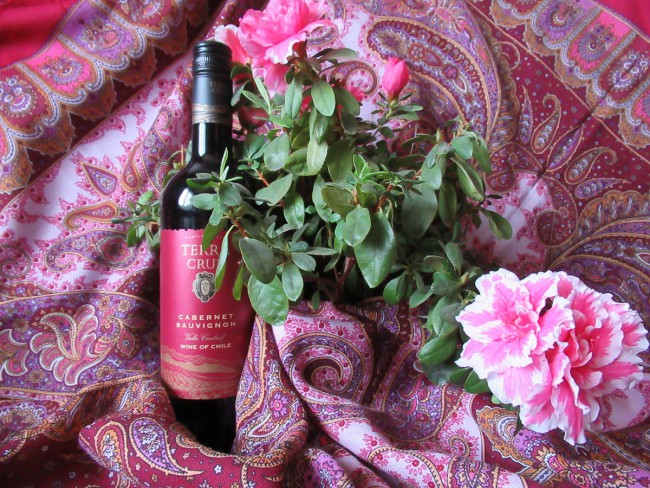 Чилийское вино региона Central Valley - Terra Cruz Cabernet Sauvignon и платок Елены Жуковой Фаворит 6-ого колорита