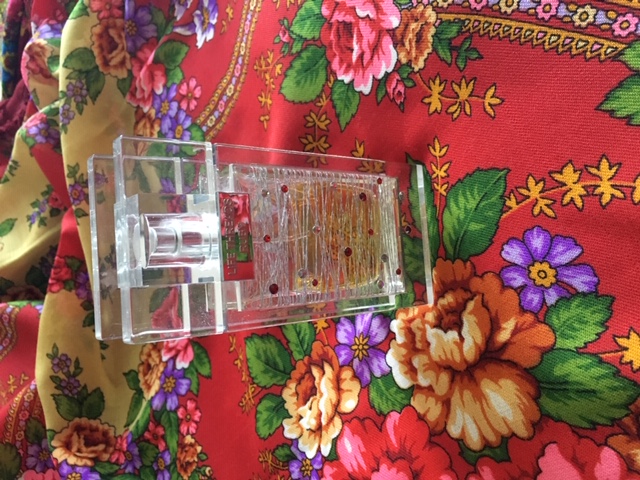 image2 5.jpeg