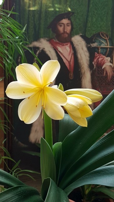20190301_134553.8PYHa.jpg