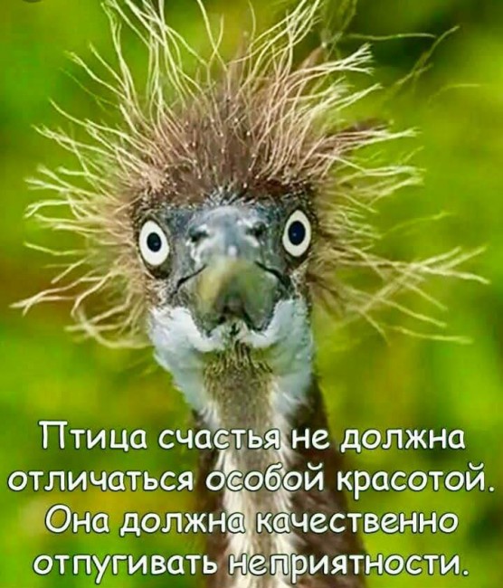3f5eb3c2-d59c-4c81-8d29-78abb9dcc16b.jpg