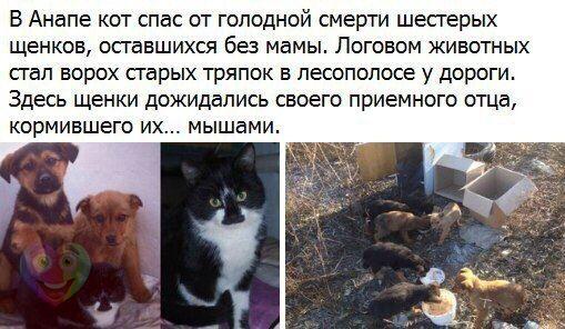 КОТ отец.jpg