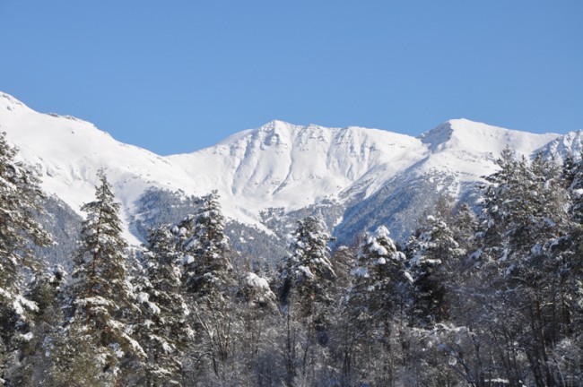 DSC_4161.JPG