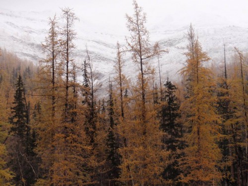 Рисунок1.jpg