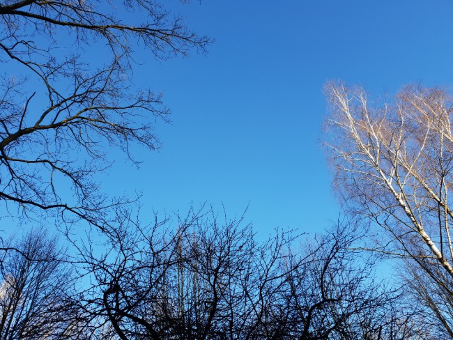 A54505F0-47F6-45D5-B6F0-DC8485CD942F.jpeg