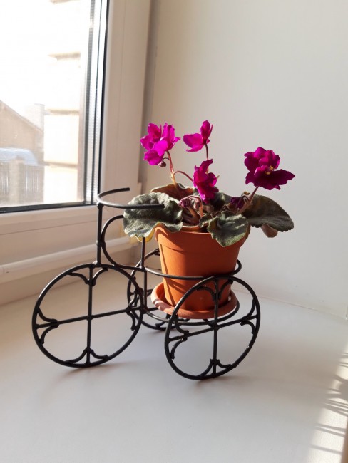 20190324_172342(1).jpg