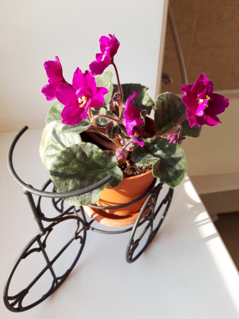 20190324_172327.jpg