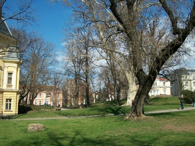 101_8255.JPG