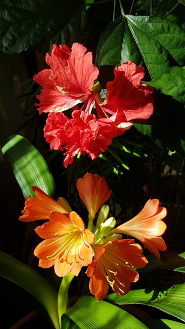 20190401_142217.y5v2o.jpg