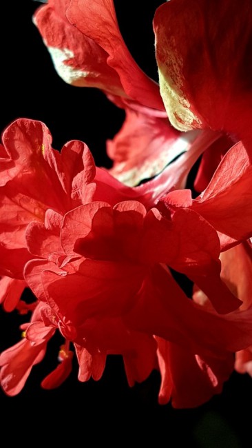 20190401_143423.qtw6c.jpg