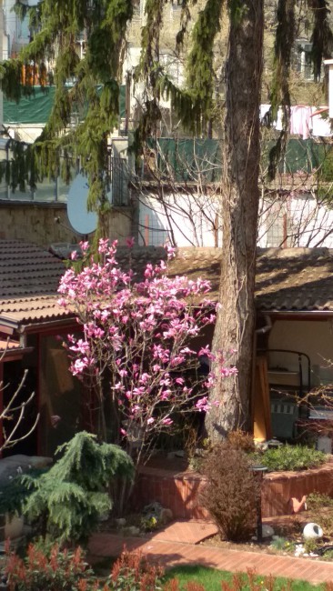 IMG-20190321-WA0005-2.jpeg