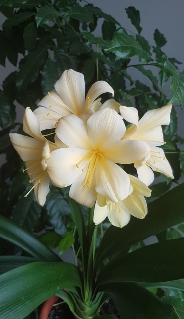 20190405_131423.jpg
