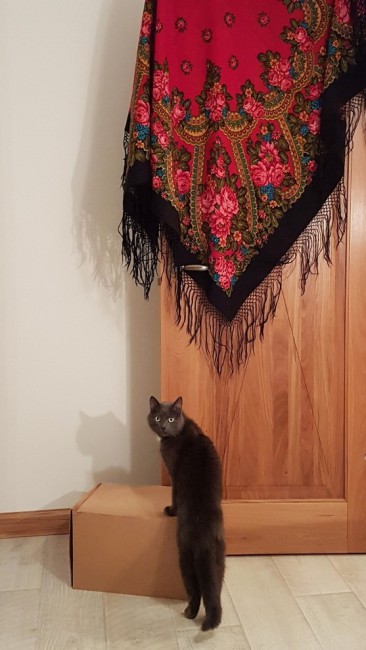 20181227_181008.AobIb.jpg