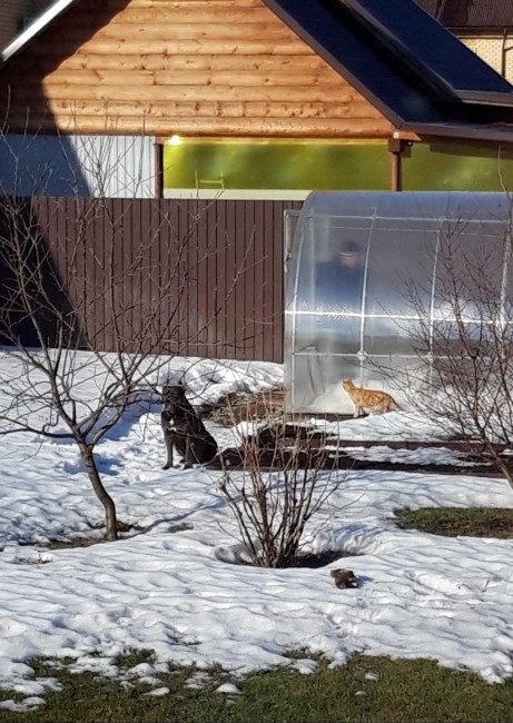 20190408_174515.jpg