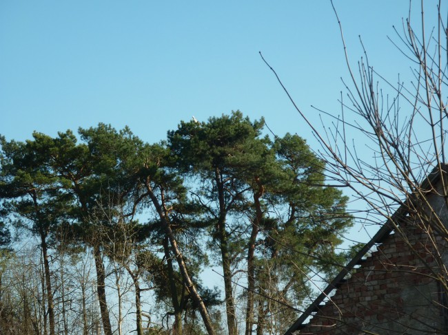 P1280679+.jpg