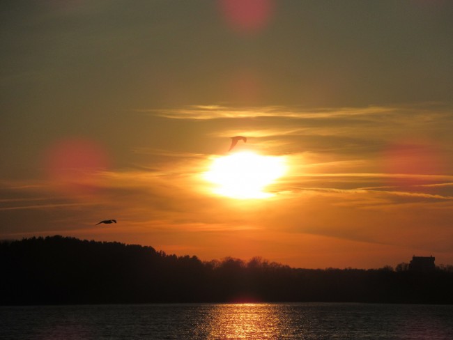 IMG_8900_1.jpg