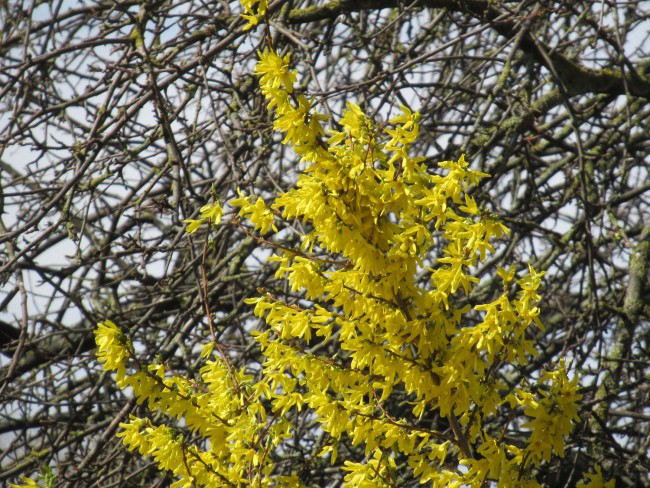 IMG_8998_1.jpg